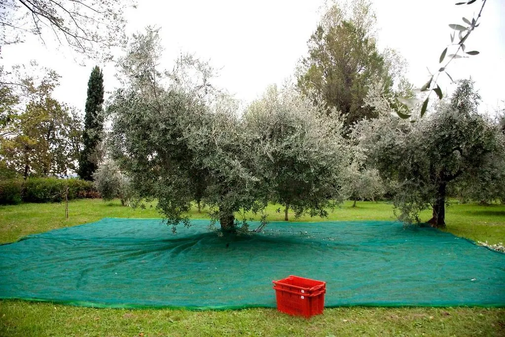 Punta Del Corno Agriturismo San Felice del Benaco Country house
